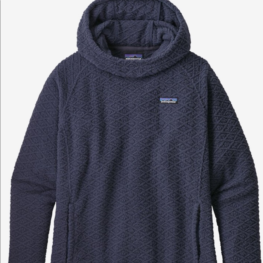 Patagonia hoody